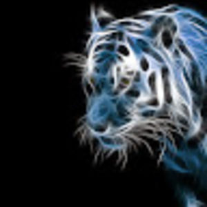 Meet your Posher, Peter